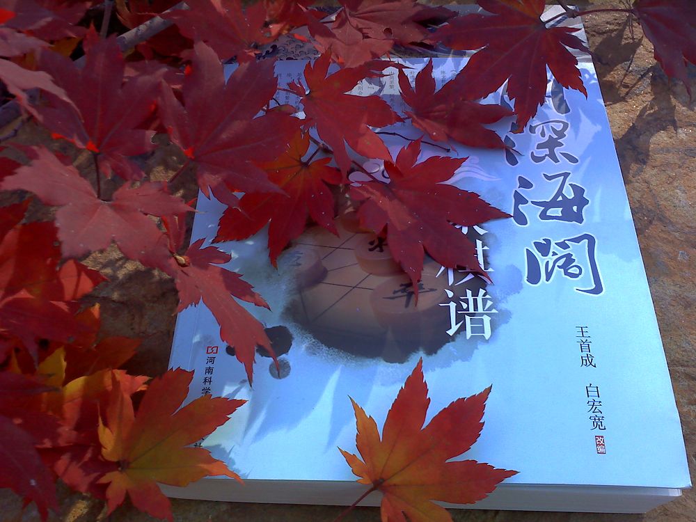 121006_132126ٺ.jpg