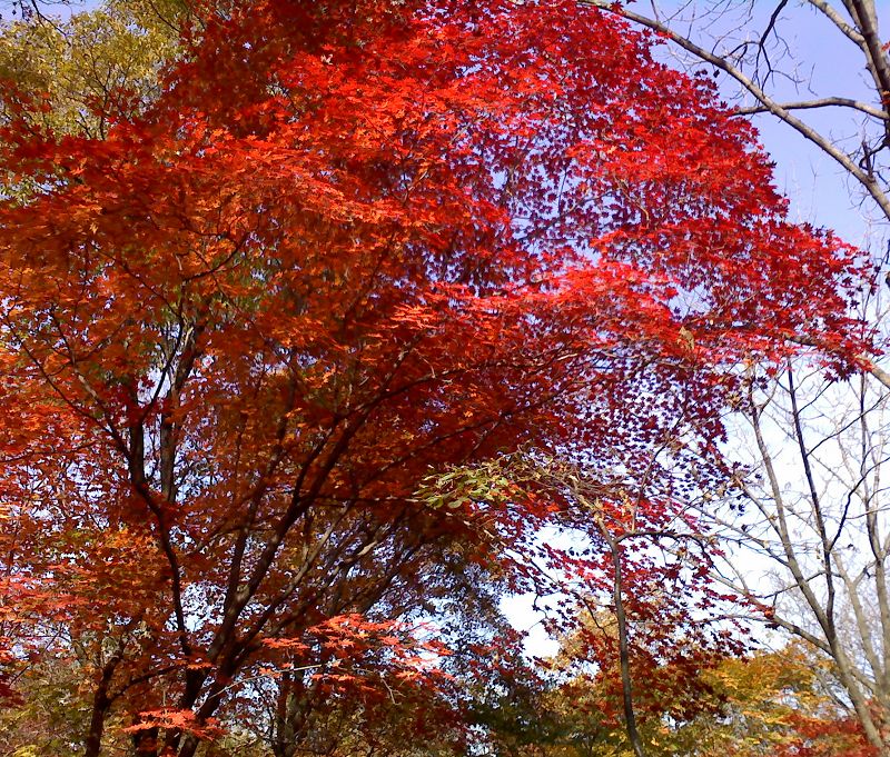121003_135042.jpg