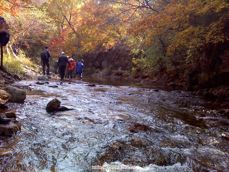 121003_112438ڻ.jpg